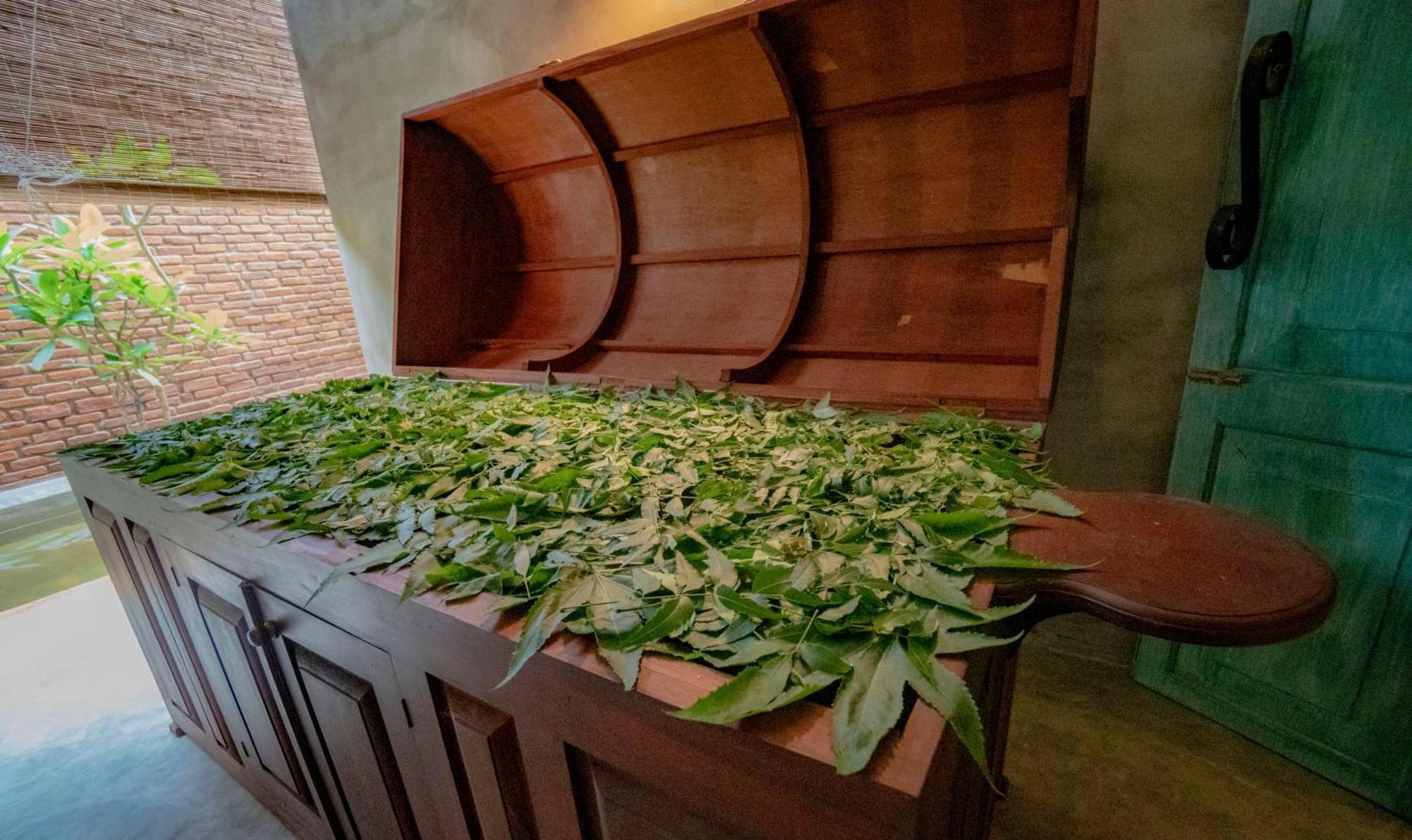 Ayur Ayur Resort & Ayurveda Retreat Νεγκόμπο Εξωτερικό φωτογραφία