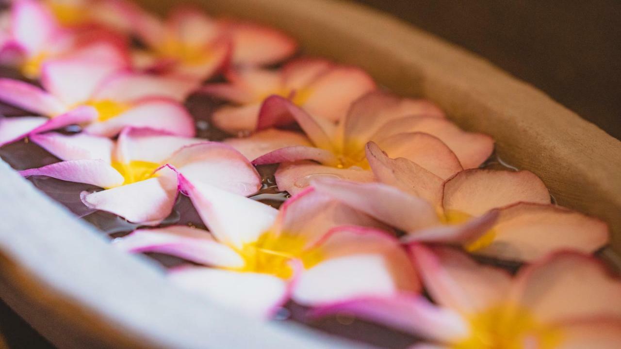 Ayur Ayur Resort & Ayurveda Retreat Νεγκόμπο Εξωτερικό φωτογραφία